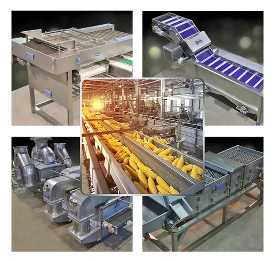 Frozen vegetable IQF production line