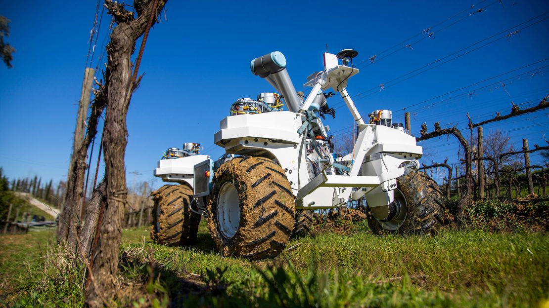 Field robot among vines